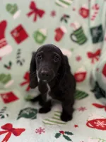 processed/0e13b135-a602-4542-ad96-e0c4b27bfbae/listing/5f131d9c-7603-4b81-b18f-89a2e08b87cd/22394e7c-a435-466a-8fbc-8960aa7ed222