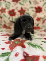 processed/0e13b135-a602-4542-ad96-e0c4b27bfbae/listing/e58747d2-3c1c-47cd-879c-a99e12ebdcdb/e5d3a47b-0b83-4a88-a7d8-3cb7aa5d72c4