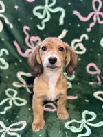 processed/0e13b135-a602-4542-ad96-e0c4b27bfbae/listing/f844a38f-24a7-44be-a27e-a8481473abf1/01336098-1640-4e44-b5fa-49935c826814