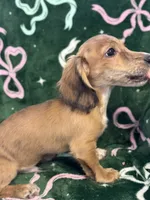 processed/0e13b135-a602-4542-ad96-e0c4b27bfbae/listing/f844a38f-24a7-44be-a27e-a8481473abf1/7029e228-3594-4e8b-9ca9-1e253eab22dc