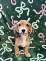 processed/0e13b135-a602-4542-ad96-e0c4b27bfbae/listing/f844a38f-24a7-44be-a27e-a8481473abf1/f3c8fe39-dd06-466f-a034-59682eab6e86