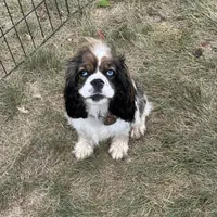 processed/0e1bd421-0783-41ac-82e7-6ebafabc0f7e/facility/1793a19b-8280-4248-ad74-4ca55f5daf99