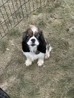 processed/0e1bd421-0783-41ac-82e7-6ebafabc0f7e/facility/1793a19b-8280-4248-ad74-4ca55f5daf99