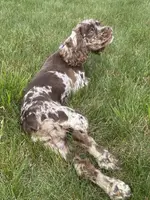 processed/0e1bd421-0783-41ac-82e7-6ebafabc0f7e/facility/263280c7-f8b8-46e1-b2e0-42ff190b4bab