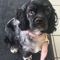 processed/0e1bd421-0783-41ac-82e7-6ebafabc0f7e/facility/44dc7a17-be5a-4eef-bf52-6a6b104b4621