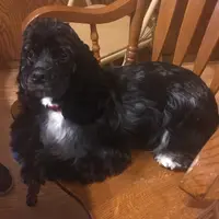 processed/0e1bd421-0783-41ac-82e7-6ebafabc0f7e/facility/64909b33-e277-48c1-9f29-dba0a1449836