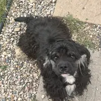 processed/0e1bd421-0783-41ac-82e7-6ebafabc0f7e/facility/6591858e-a2c6-4f9c-b977-29cf0814f48d