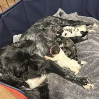 processed/0e1bd421-0783-41ac-82e7-6ebafabc0f7e/facility/9bf4384b-a4e1-4c30-b715-c7fcc8a44da5