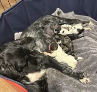 processed/0e1bd421-0783-41ac-82e7-6ebafabc0f7e/facility/9bf4384b-a4e1-4c30-b715-c7fcc8a44da5