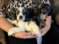 processed/0e1bd421-0783-41ac-82e7-6ebafabc0f7e/facility/c0a5bd99-eeda-4ecf-b8ae-66457a00d773