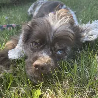 processed/0e1bd421-0783-41ac-82e7-6ebafabc0f7e/facility/e649fa8a-c812-4ac1-8b42-9a400e1e9241