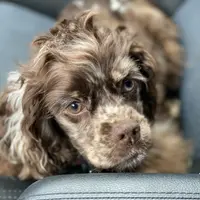 processed/0e1bd421-0783-41ac-82e7-6ebafabc0f7e/facility/ecc3c4bb-9ecd-4e67-a4bb-c367dcee50a8