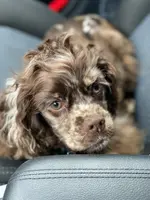 processed/0e1bd421-0783-41ac-82e7-6ebafabc0f7e/facility/ecc3c4bb-9ecd-4e67-a4bb-c367dcee50a8