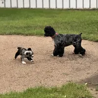 processed/0e1bd421-0783-41ac-82e7-6ebafabc0f7e/facility/fa5f0dc0-0c53-4985-bd77-d5dd49bc5b3b