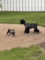 processed/0e1bd421-0783-41ac-82e7-6ebafabc0f7e/facility/fa5f0dc0-0c53-4985-bd77-d5dd49bc5b3b