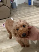 processed/0e232d3e-fe7d-478e-8b46-38b8b8dab5e5/listing/6440704d-5e7e-40a2-b198-9b4861fe1458/63fa6e13-4d98-4a8f-87cf-6403b223c481