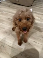 processed/0e232d3e-fe7d-478e-8b46-38b8b8dab5e5/listing/6440704d-5e7e-40a2-b198-9b4861fe1458/82f5c9d6-e69a-4822-97bc-6fa4a5388371