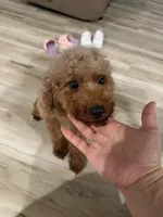 processed/0e232d3e-fe7d-478e-8b46-38b8b8dab5e5/listing/6440704d-5e7e-40a2-b198-9b4861fe1458/86d58408-a0a0-4c4a-bf42-a1195a2ac472