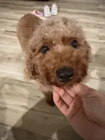 processed/0e232d3e-fe7d-478e-8b46-38b8b8dab5e5/listing/6440704d-5e7e-40a2-b198-9b4861fe1458/d34bab51-faf7-471a-b81d-7df9971f9dee