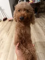 processed/0e232d3e-fe7d-478e-8b46-38b8b8dab5e5/listing/6440704d-5e7e-40a2-b198-9b4861fe1458/efc7cd40-882e-4a58-8927-98e333a72505