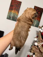 processed/0e232d3e-fe7d-478e-8b46-38b8b8dab5e5/listing/7e0da8bc-2845-4934-a922-9c1cd3a6b009/16c45745-7f6f-435a-a39b-72c55d1b40c3