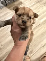 processed/0e232d3e-fe7d-478e-8b46-38b8b8dab5e5/listing/7e0da8bc-2845-4934-a922-9c1cd3a6b009/1bd7d0b4-fcc5-4f2a-b398-0c95d062dbf7