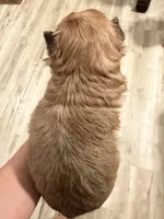 processed/0e232d3e-fe7d-478e-8b46-38b8b8dab5e5/listing/7e0da8bc-2845-4934-a922-9c1cd3a6b009/381bbd2e-8499-4665-b666-9c6db352d11c