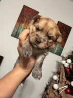 processed/0e232d3e-fe7d-478e-8b46-38b8b8dab5e5/listing/7e0da8bc-2845-4934-a922-9c1cd3a6b009/7c856c29-2ff0-4c8e-8595-10a4889a0b71