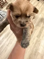 processed/0e232d3e-fe7d-478e-8b46-38b8b8dab5e5/listing/7e0da8bc-2845-4934-a922-9c1cd3a6b009/a2b9b809-4a59-42ee-b6a2-981573ebf257