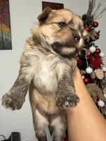 processed/0e232d3e-fe7d-478e-8b46-38b8b8dab5e5/listing/7e0da8bc-2845-4934-a922-9c1cd3a6b009/a740fe9c-7452-4596-b989-56bb3a2d6c46