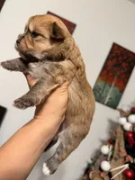 processed/0e232d3e-fe7d-478e-8b46-38b8b8dab5e5/listing/7e0da8bc-2845-4934-a922-9c1cd3a6b009/b5b78d7d-91a9-4fb0-b4e1-4359fa018856