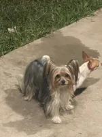 processed/0e232d3e-fe7d-478e-8b46-38b8b8dab5e5/listing/90d3b326-a339-41aa-b07c-19f8e0322f2c/b3ca919e-8c2b-4146-8e92-9d63c3fa98c1