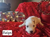 processed/0e35803a-b1d1-436b-ab1b-3837b6822948/listing/73085c95-7957-43e2-a406-9473b8b5410a/3ae40d3b-2845-4c4a-86f9-ba058e5e40f3