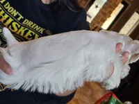 processed/0e35803a-b1d1-436b-ab1b-3837b6822948/listing/edb7e72d-a355-41e6-b24b-98c71ee21e68/2fbfd4a5-dbeb-438b-90f9-31ddd69d3890