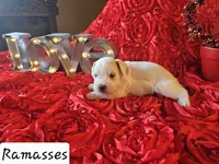 processed/0e35803a-b1d1-436b-ab1b-3837b6822948/listing/edb7e72d-a355-41e6-b24b-98c71ee21e68/74ded499-0af8-4050-99a1-7478e3eb2406