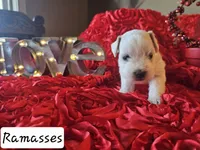 processed/0e35803a-b1d1-436b-ab1b-3837b6822948/listing/edb7e72d-a355-41e6-b24b-98c71ee21e68/98955fa1-be9d-43d3-9b09-ff538a5e752b