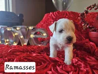 processed/0e35803a-b1d1-436b-ab1b-3837b6822948/listing/edb7e72d-a355-41e6-b24b-98c71ee21e68/994e0582-8d67-4970-bd22-de4b32118c48