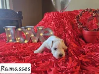 processed/0e35803a-b1d1-436b-ab1b-3837b6822948/listing/edb7e72d-a355-41e6-b24b-98c71ee21e68/cdc05d0a-900d-4069-81a1-898993e30aab