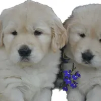 processed/0e3a5c13-5339-48a1-bc4c-8e53fac00895/facility/bb4ded30-c6ac-4e05-afd1-7d0808aaf3e8