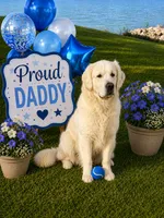 Boy 2, a male Golden Retriever for sale in Lockport, NY – 4 of 7