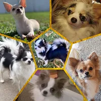 processed/0e43496d-883d-4010-95c7-7a5a94b10522/facility/4e2bdb9a-76af-46fc-94ff-19e7206daec2