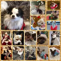 processed/0e43496d-883d-4010-95c7-7a5a94b10522/facility/51b475a1-f7d4-440a-8dba-9802256ee060