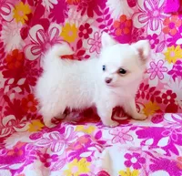 processed/0e43496d-883d-4010-95c7-7a5a94b10522/facility/884a7c8e-e6a5-4d28-a590-0eb21abcb409