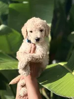 processed/0e4a6aa1-0170-4e78-b75c-19d79fa379f9/listing/ccc8e8f4-9b3b-42de-9e47-b5da0ab3b34d/09de927d-c9da-4050-92bf-d038700b5385