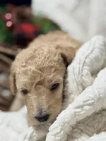 processed/0e4a6aa1-0170-4e78-b75c-19d79fa379f9/listing/ccc8e8f4-9b3b-42de-9e47-b5da0ab3b34d/1afac20a-aef7-4b57-ac9a-7bfaaffe00ee