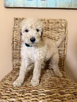 processed/0e4a6aa1-0170-4e78-b75c-19d79fa379f9/listing/ccc8e8f4-9b3b-42de-9e47-b5da0ab3b34d/34b7c383-8163-4e7e-92d1-befe5353a56b