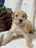 processed/0e4a6aa1-0170-4e78-b75c-19d79fa379f9/listing/ccc8e8f4-9b3b-42de-9e47-b5da0ab3b34d/59042d96-e6d3-4ecd-af7c-70d479e2f49c