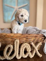 processed/0e4a6aa1-0170-4e78-b75c-19d79fa379f9/listing/ccc8e8f4-9b3b-42de-9e47-b5da0ab3b34d/65eee9d2-6b46-424a-8e87-b672ee701269