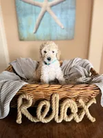 processed/0e4a6aa1-0170-4e78-b75c-19d79fa379f9/listing/ccc8e8f4-9b3b-42de-9e47-b5da0ab3b34d/6e390216-0c28-423d-bafa-410f6069b618