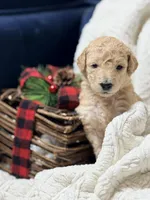 processed/0e4a6aa1-0170-4e78-b75c-19d79fa379f9/listing/ccc8e8f4-9b3b-42de-9e47-b5da0ab3b34d/898d0223-d82d-4a4d-8a4b-352c79fc8891